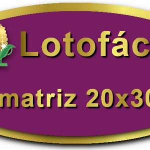 Imagem Botão Matriz para Lotofácil, 20 dezenas,30 apostas, versão a da Prêmio Dourado