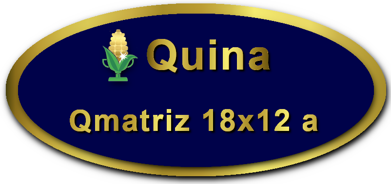 Imagem botão Matriz para Quina, 18 dezenas, 12 apostas, versão a da Prêmio Dourado