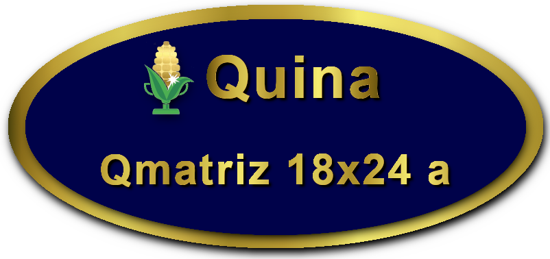 Imagem botão Matriz para Quina, 18 dezenas, 24 apostas, versão a da Prêmio Dourado