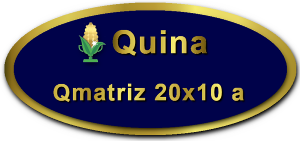 Imagem botão Matriz para Quina, 20 dezenas, 10 apostas, versão a da Prêmio Dourado