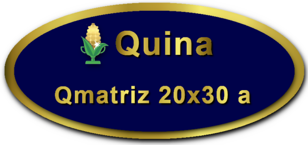 Imagem botão Matriz para Quina, 20 dezenas, 30 apostas, versão a da Prêmio Dourado