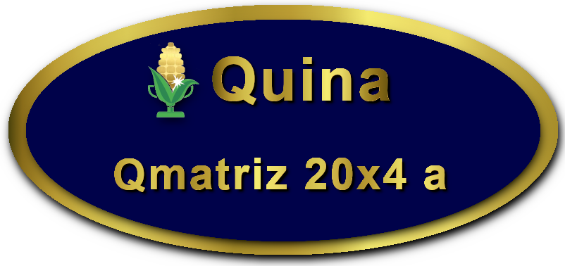 Imagem botão Matriz para Quina, 20 dezenas, 4 apostas, versão a da Prêmio Dourado