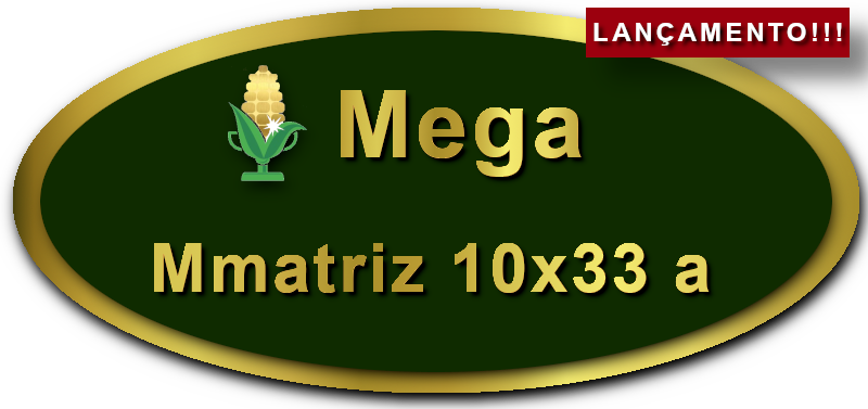 Imagem botão Lançamento Matriz para Mega-Sena, 10 dezenas, 33 apostas, versão a da Prêmio Dourado