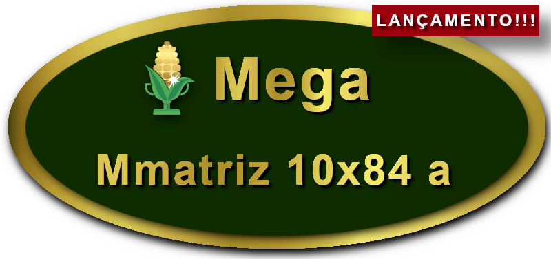 Imagem botão Lançamento Matriz para Mega-Sena, 10 dezenas, 84 apostas, versão a da Prêmio Dourado