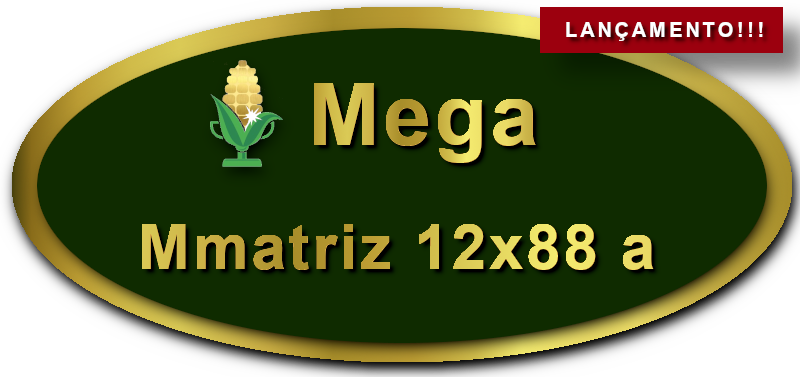 Imagem botão Lançamento Matriz para Mega-Sena, 12 dezenas, 88 apostas, versão a da Prêmio Dourado