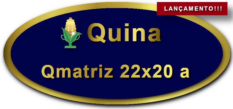 Imagem botão Lançamento Matriz para Quina, 22 dezenas, 20 apostas, versão a da Prêmio Dourado